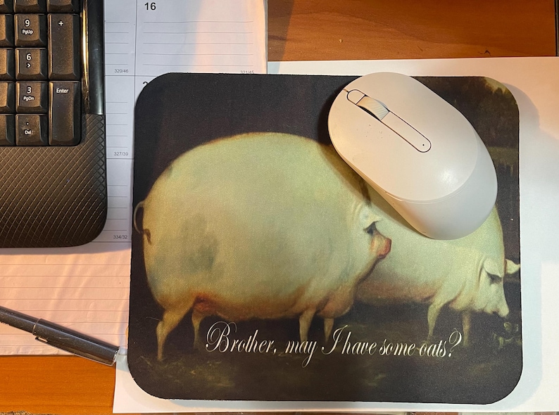 Broeder, wil je wat haver? Mem - Gaming Accessories To Have recensie en prijs