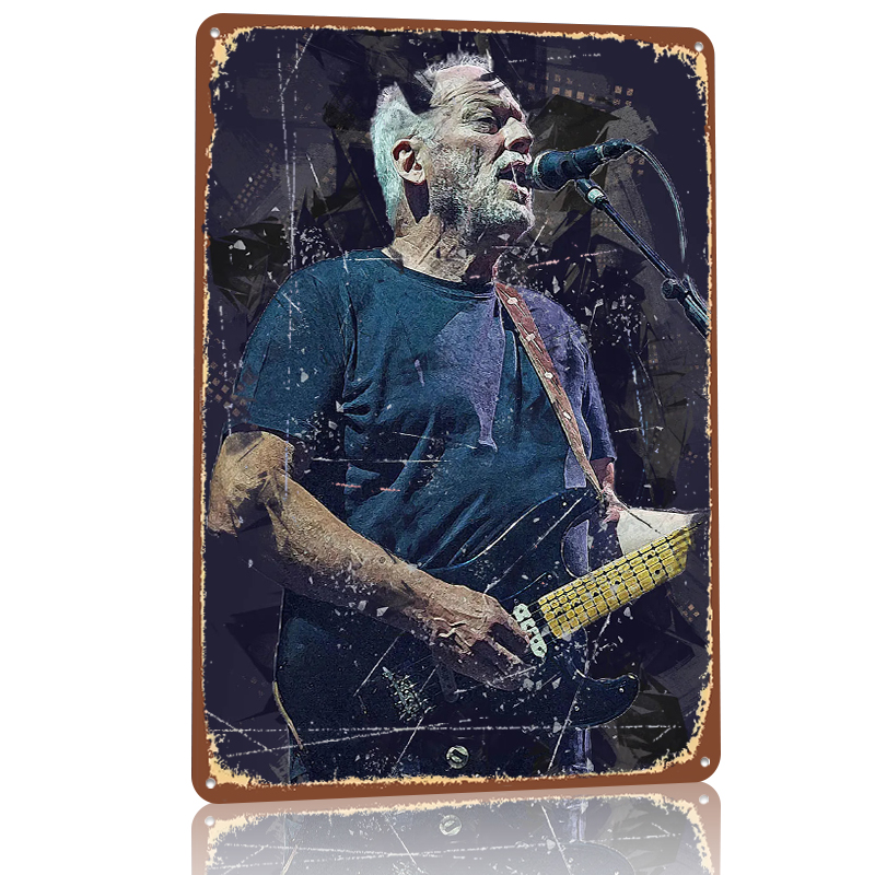 David Gilmour Metalen Poster A - Vintage Gaming Accessories recensie en prijs